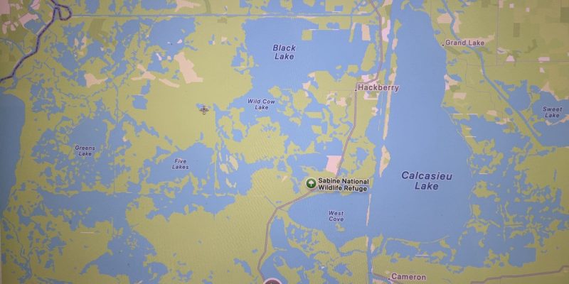 Louisiana bayou0002-00