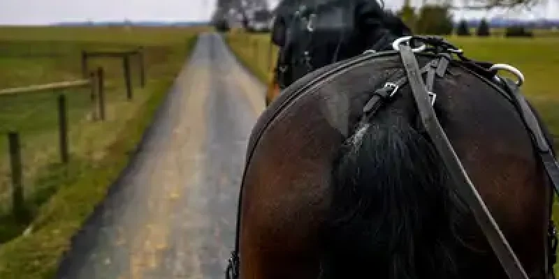 A horse drawn carriage traveling down the road.